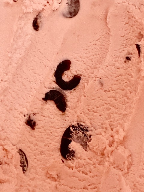 Black Cherry Ice Cream
